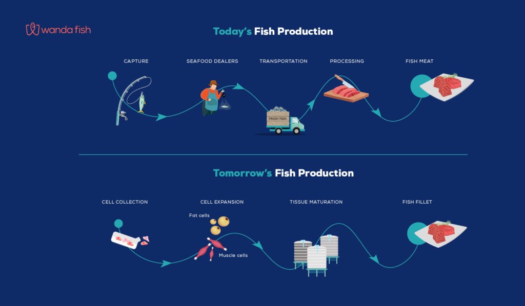 Wanda Fish Technologies
