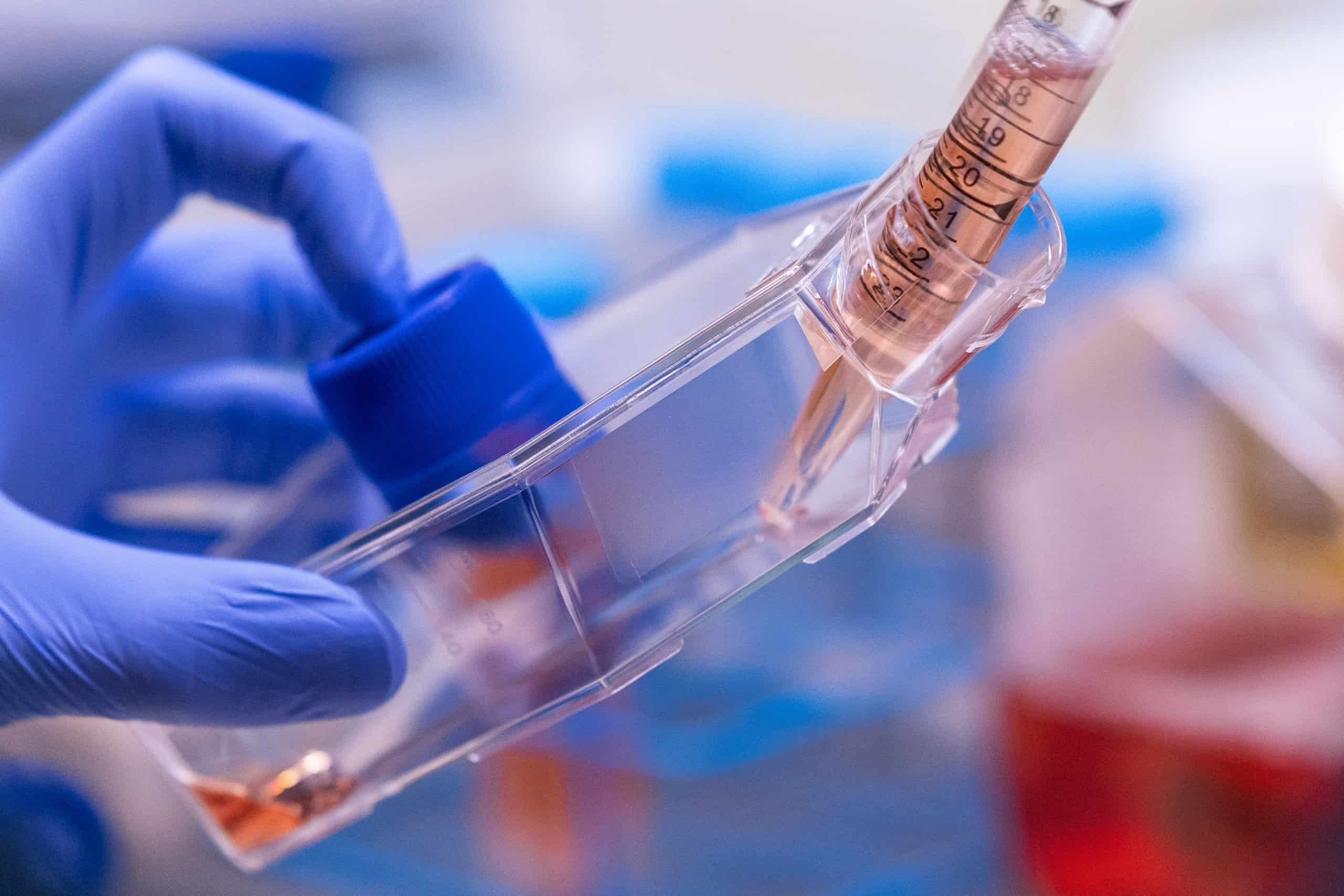 a lab instrument for cultivated pork meat