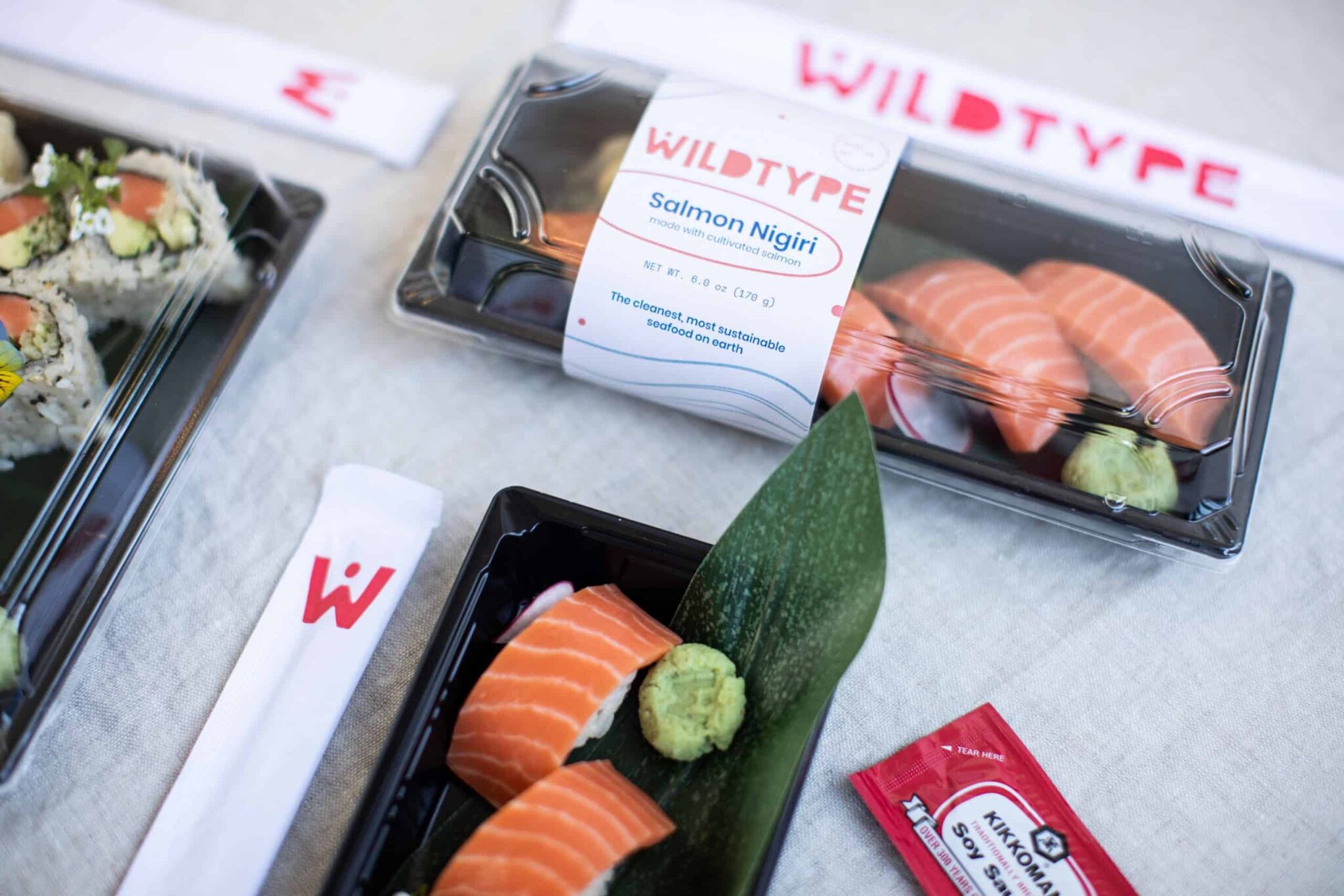 Wildtype Cultivated X