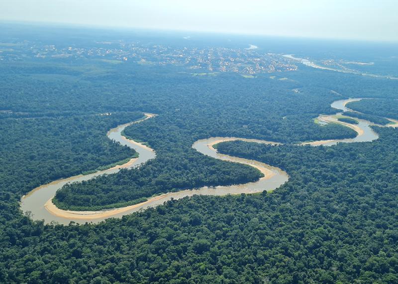 a river in a brazilian forest