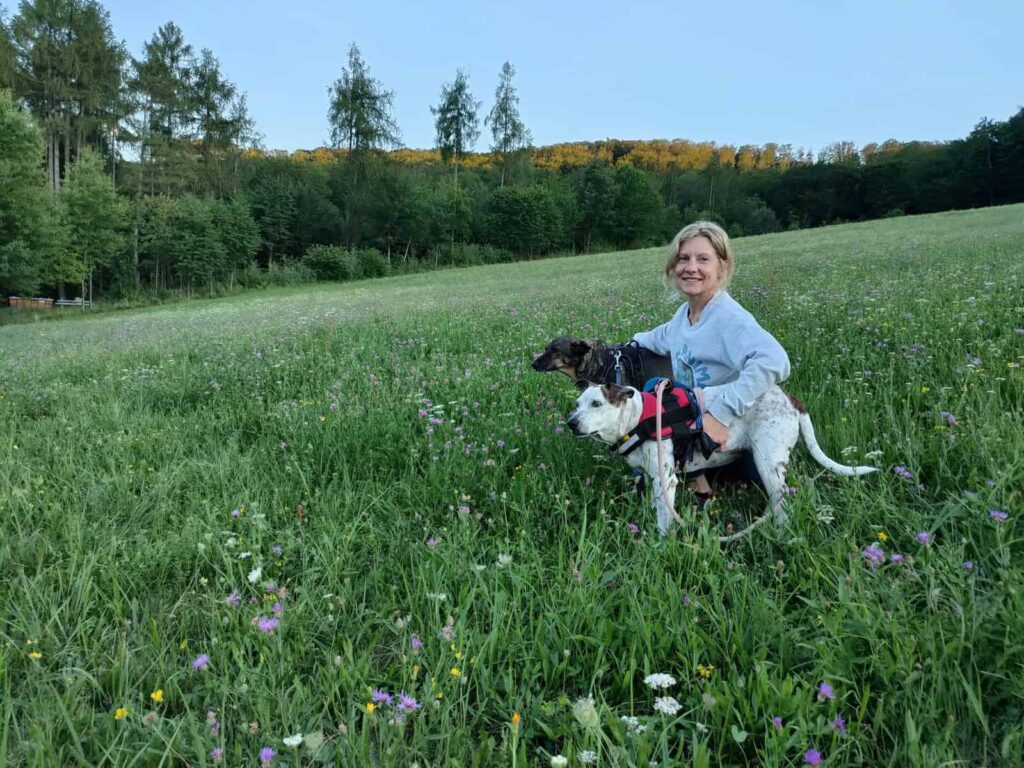 BioCraft Pet Nutrition introduces cultivated chicken ingredient for pet food manufacturers