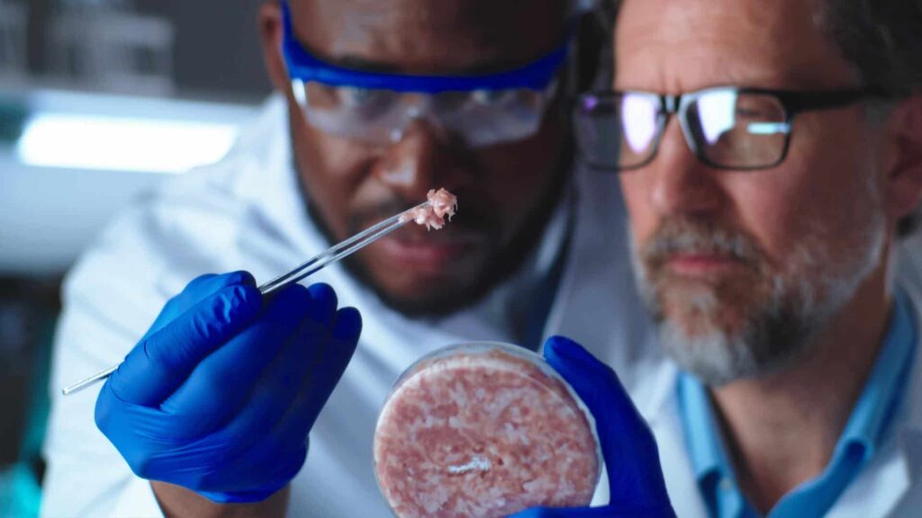 Dyadic develops recombinant animal-free bovine serum albumin that can be used i the cultivated meat industry