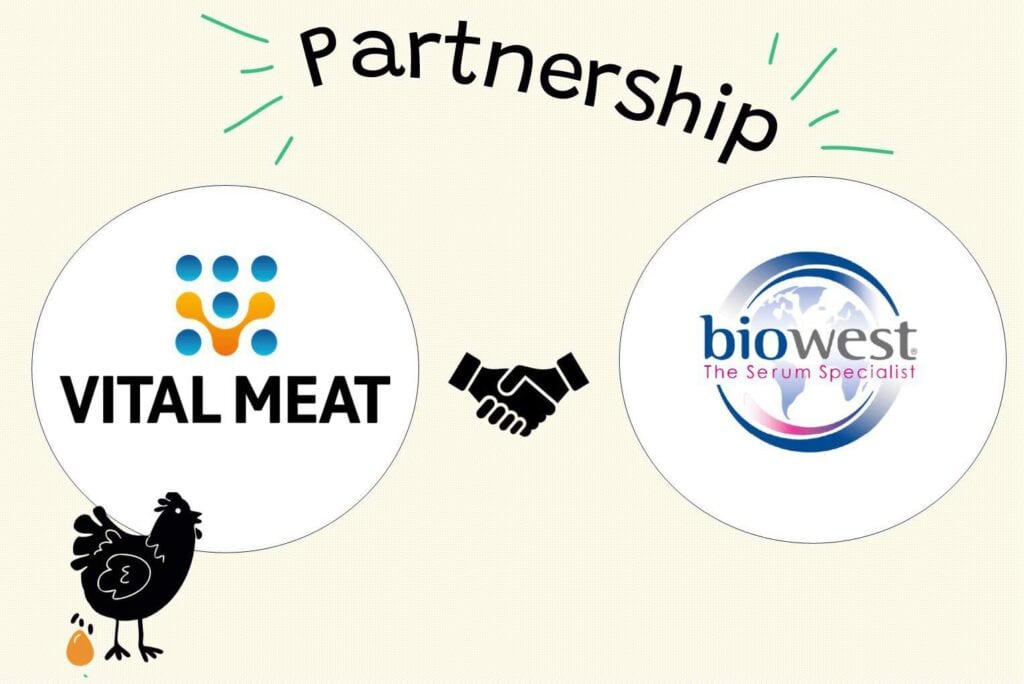 Vital Meat x Biowest partnership