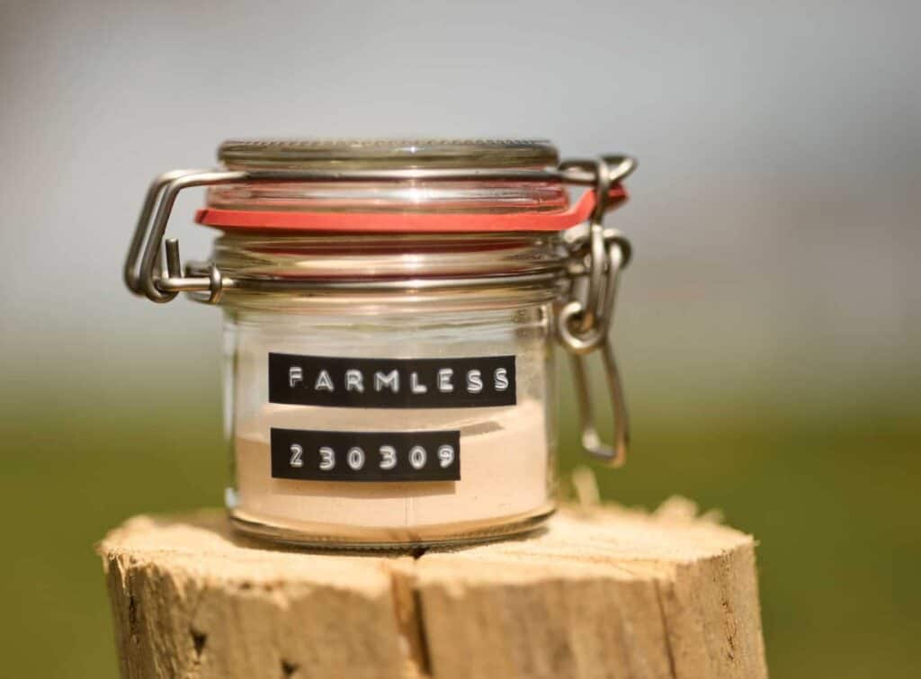 Formless raises €1.2 million to produce carbon-negative, functional proteins