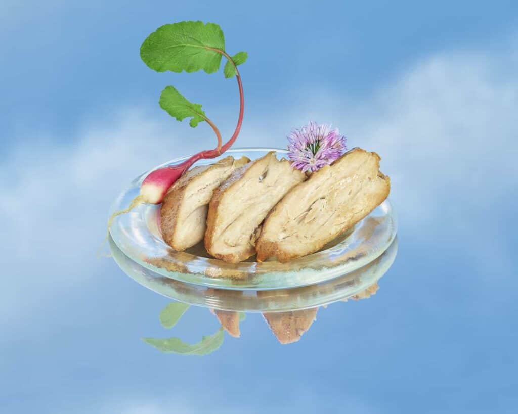 Air Protein and ADM join forces to commercially laungh landless proteins to make alt foods