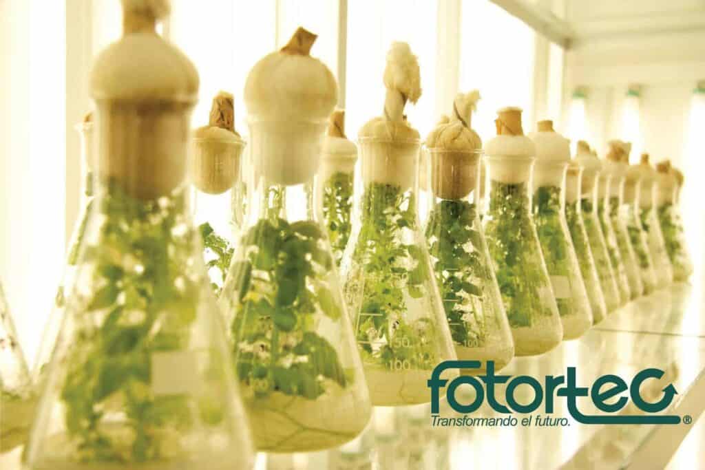 Fotortec