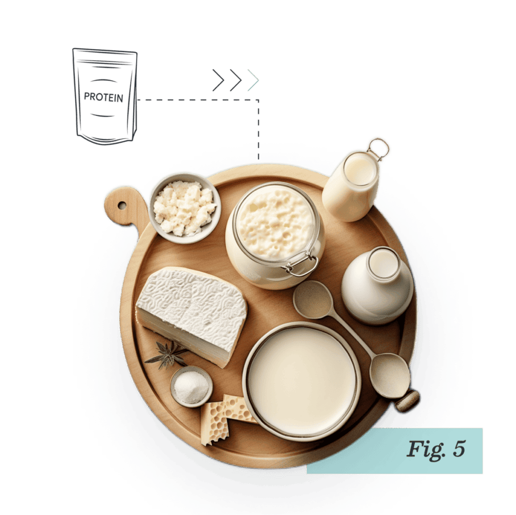 Dutch precision fermentation startup Vivici B.V. announces it has successfully scaled its platform to produce a beta-lactoglobulin