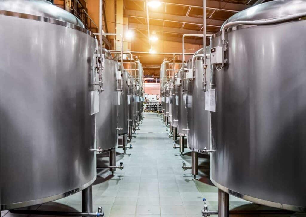 fermentation