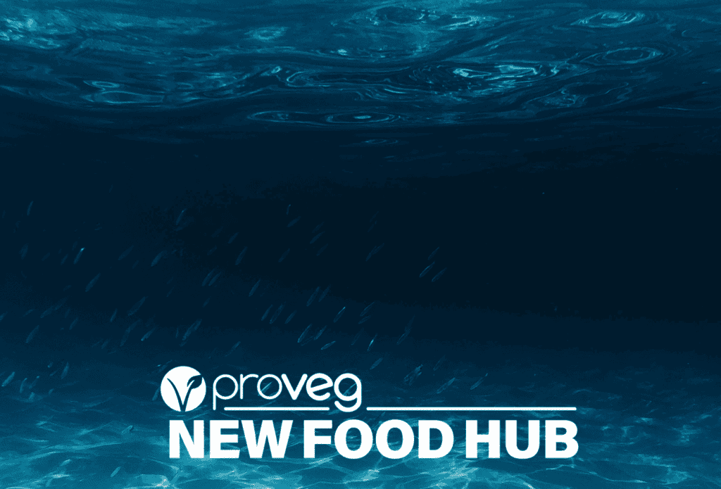 Proveg NFH underwater landscape