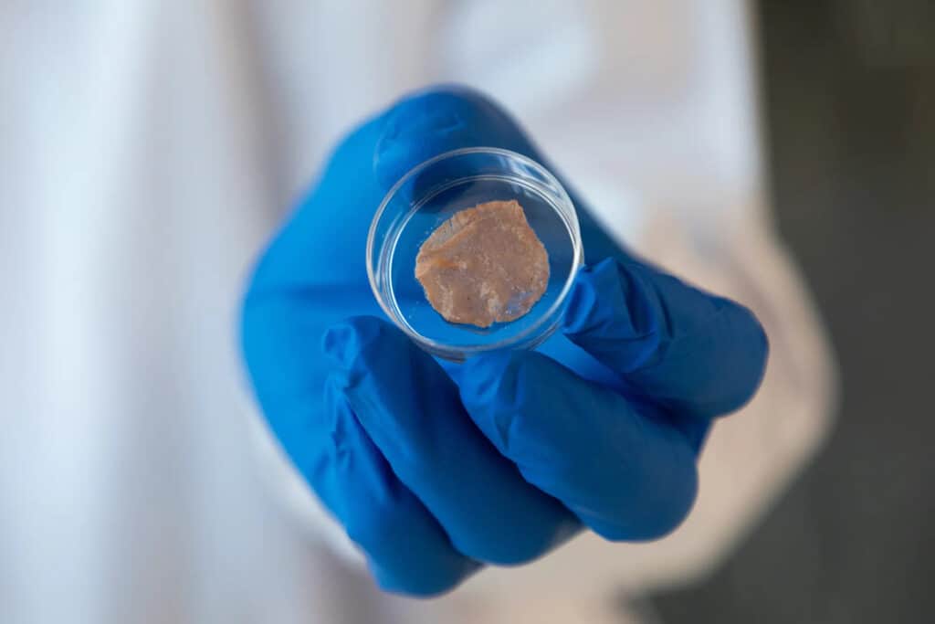 Cell scaffolding at NUS