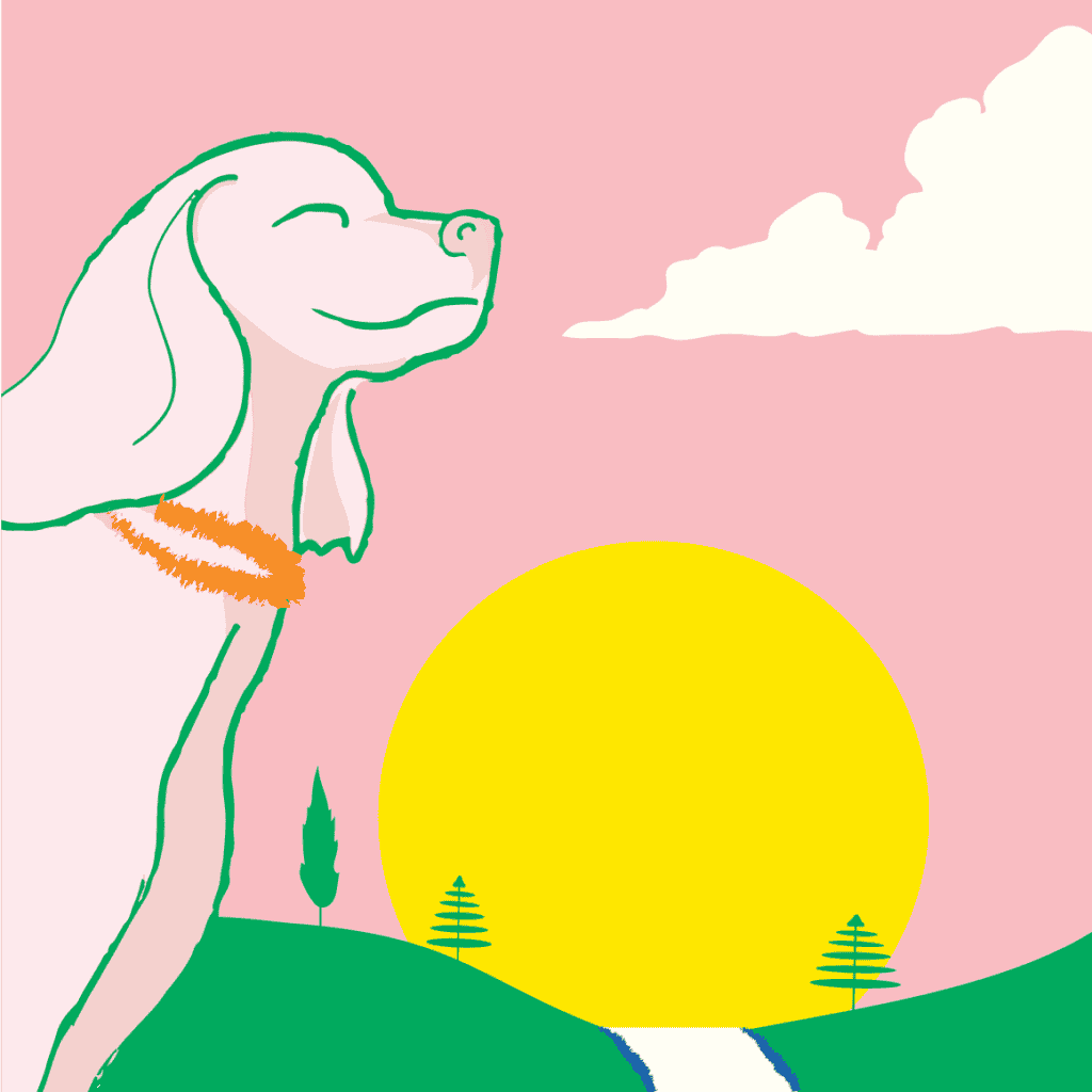 A drawing of a happy dog under the sun by Noochies!