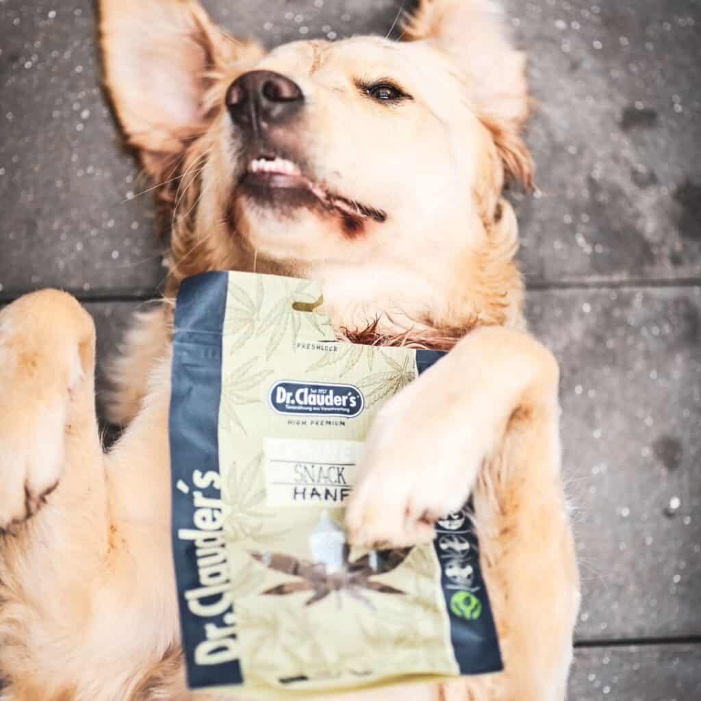 Dr. Clauder's partners with Calysta to launch innovative dog treats made with FeedKindPet protein.