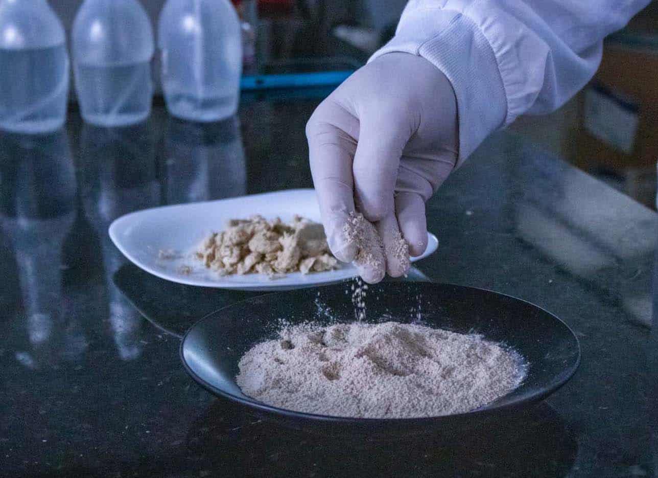 Typca's mycoprotein