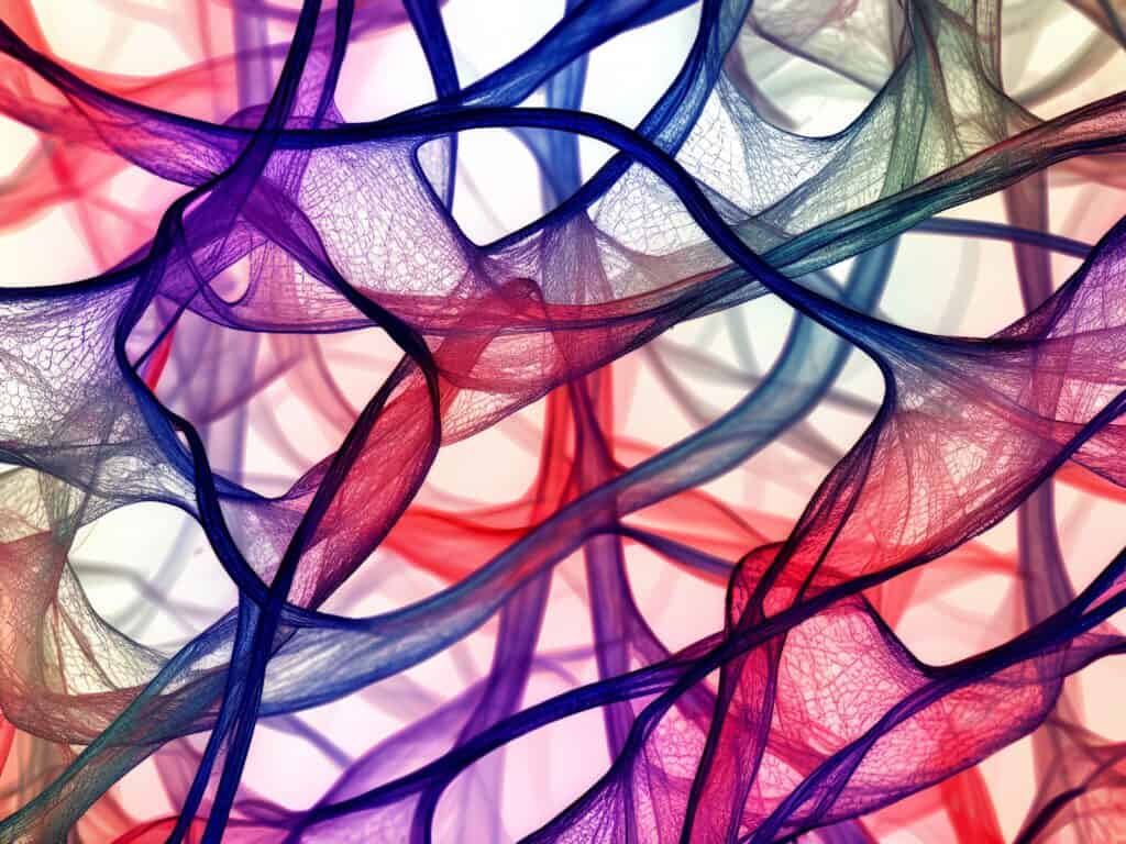 Cultivated leather tissues under the microscope.