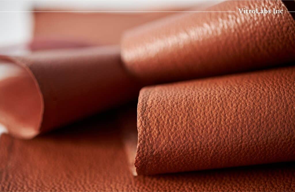 VitroLabs Cell Cultivated Leather