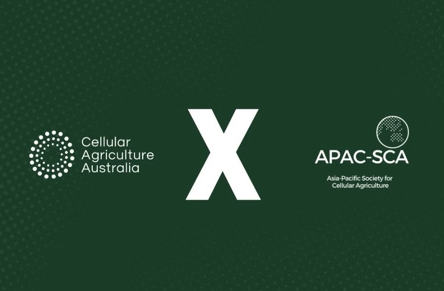 APAC-SCA