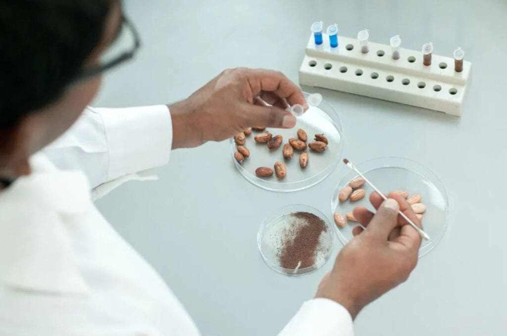 Barry Callebaut Partners with the Zurich University of Applied Sciences to Explore Cocoa Cell Culture Technology