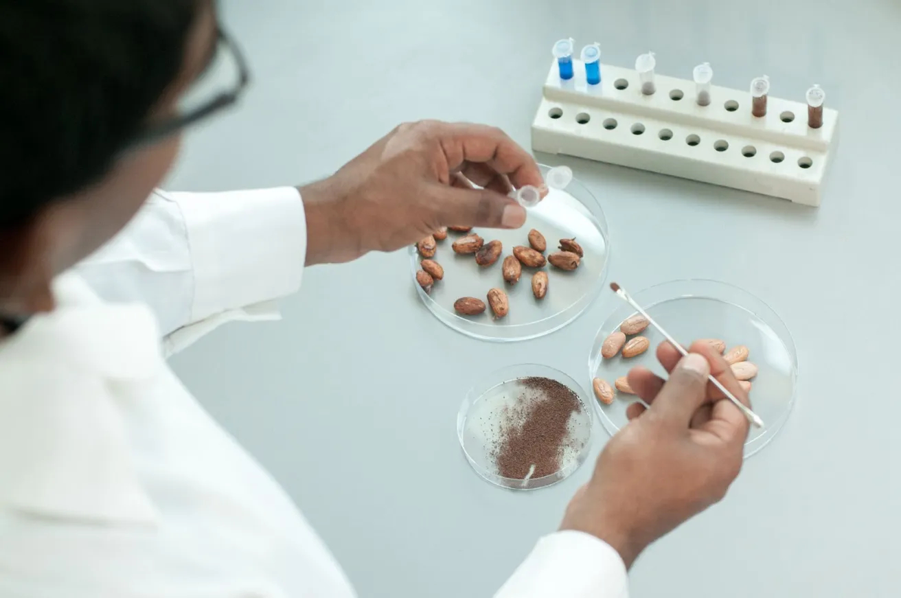 Barry Callebaut Partners with the Zurich University of Applied Sciences to Explore Cocoa Cell Culture Technology