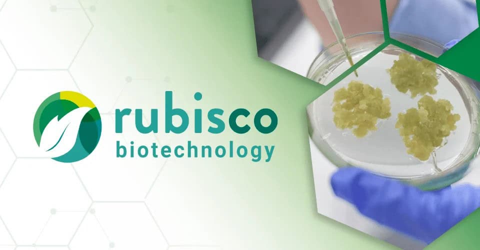Rubisco Biotechnology