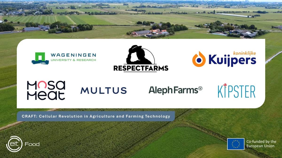 Consortium to establish cultivated meat farm in the Netherlands