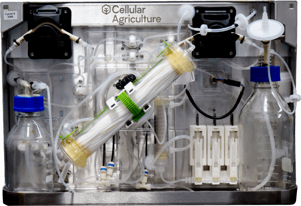 Cellular Agriculture Ltd