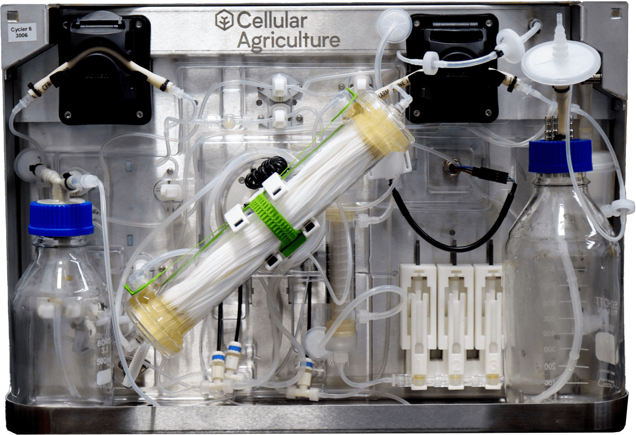 Cellular Agriculture Ltd