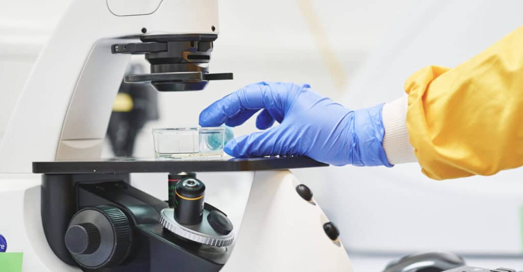 Cellular Agriculture Ltd