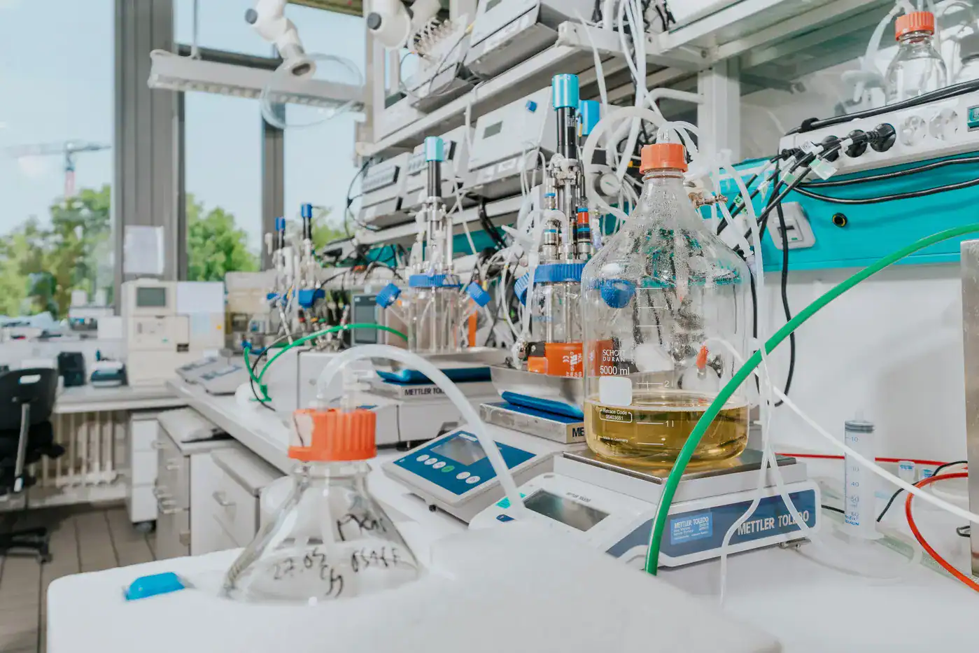 innocent meat collab