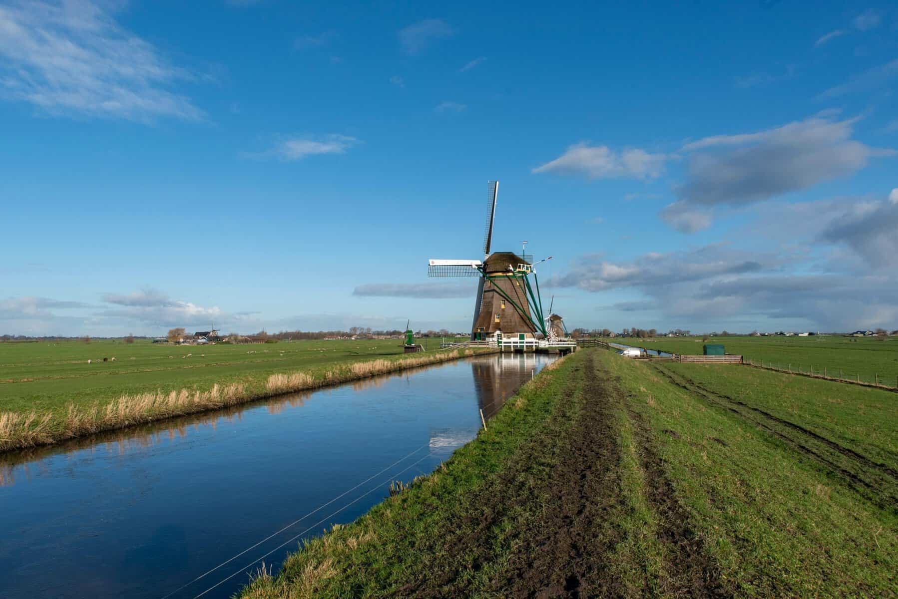 stock the hague
