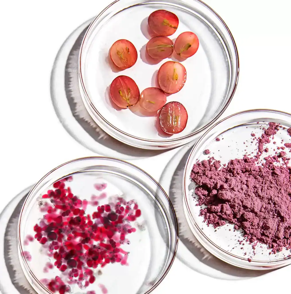 BioHarvest Sciences