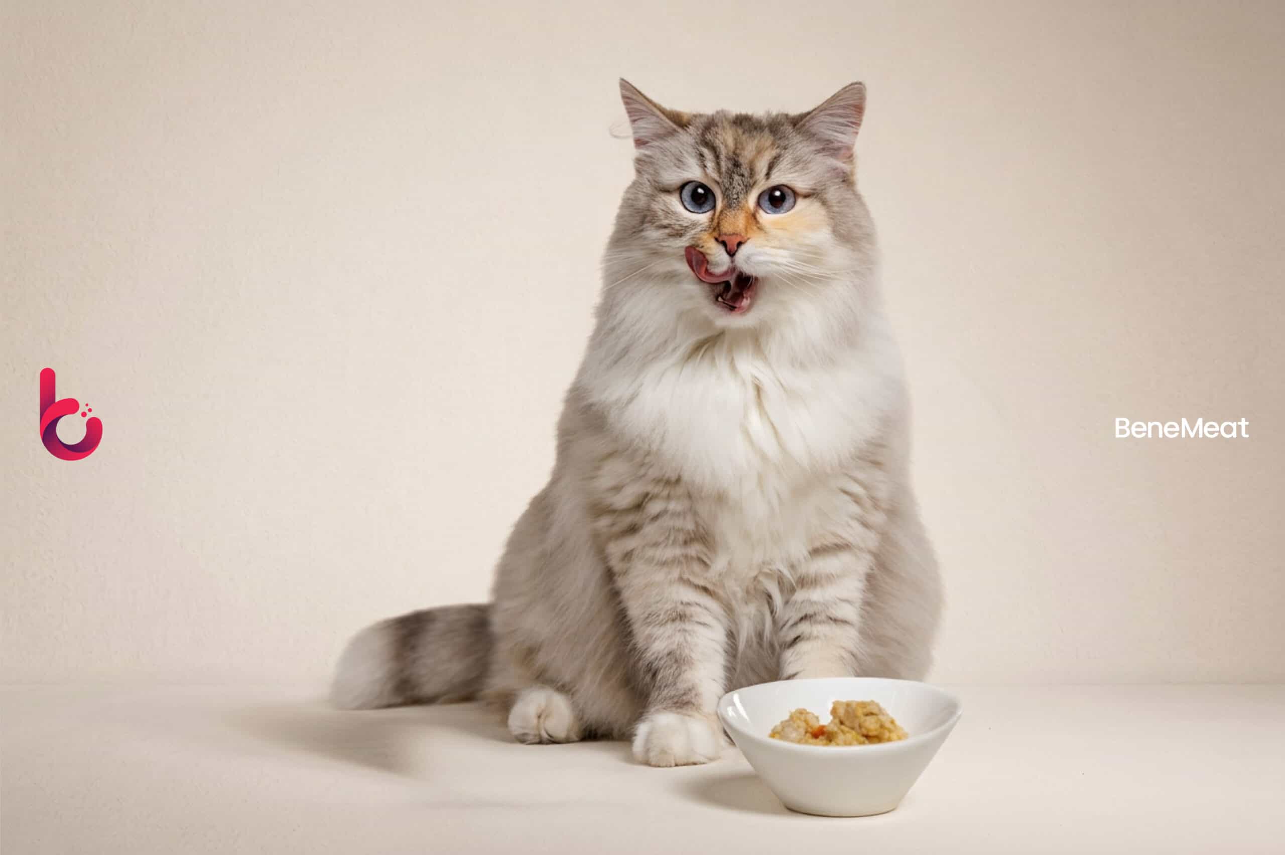 BeneMeat cat