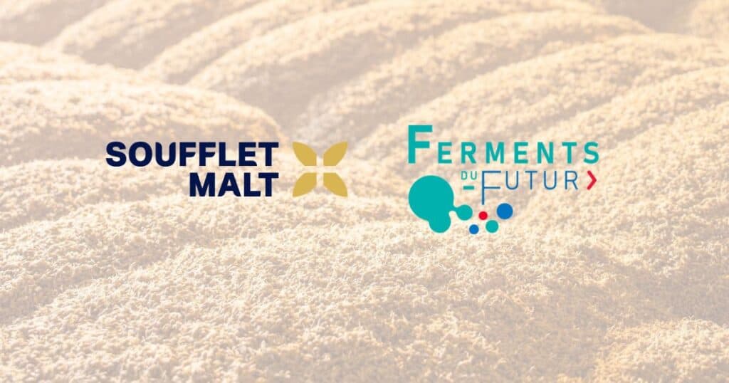 Soufflet Malt