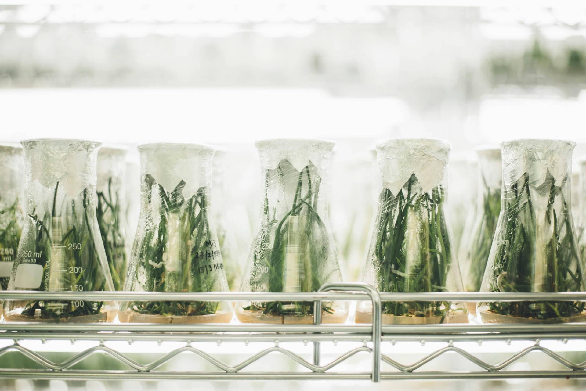 stock food lab