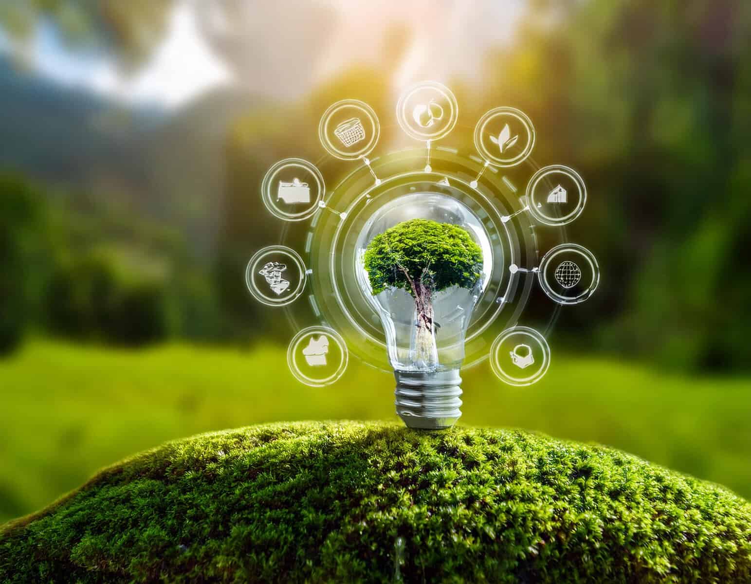 Umwelt klima loesung nachhaltigkeit wirtschaft idee