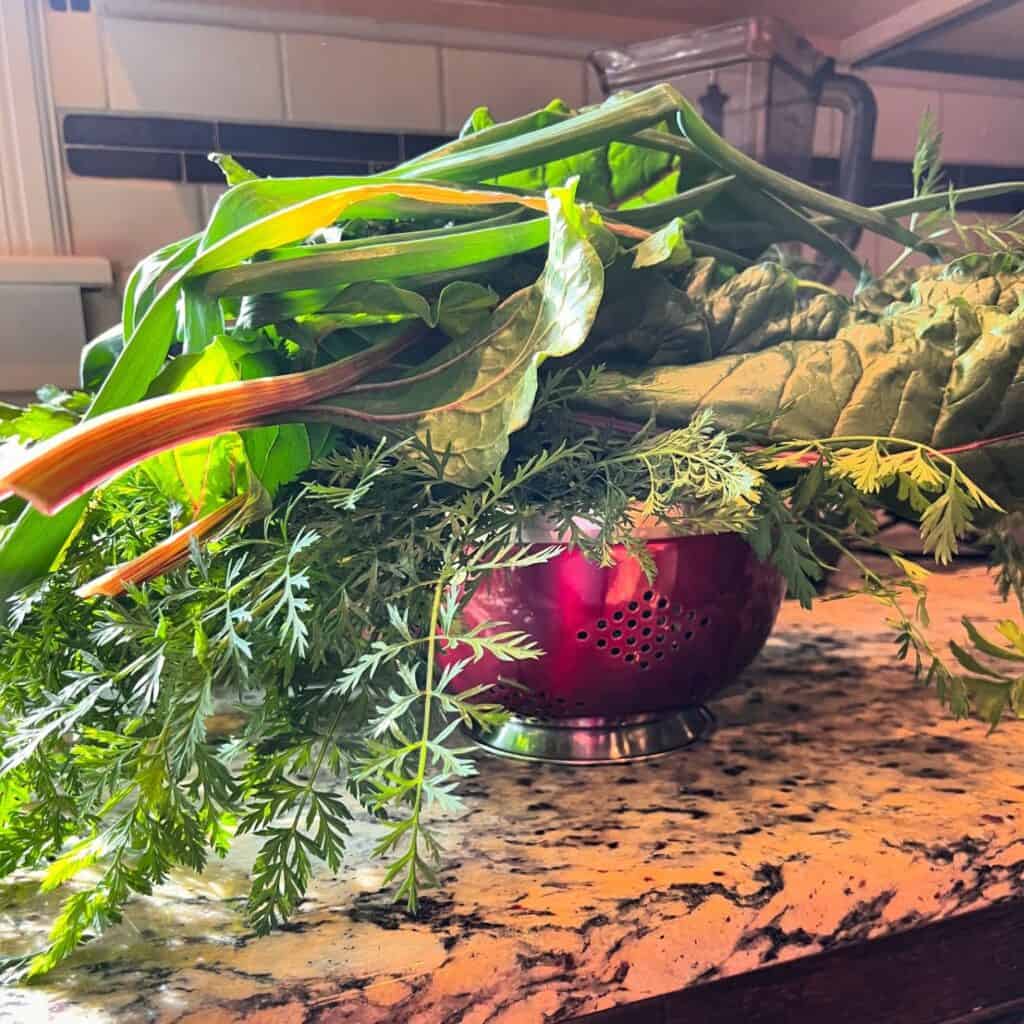 Little logan's farm © frances gonzales