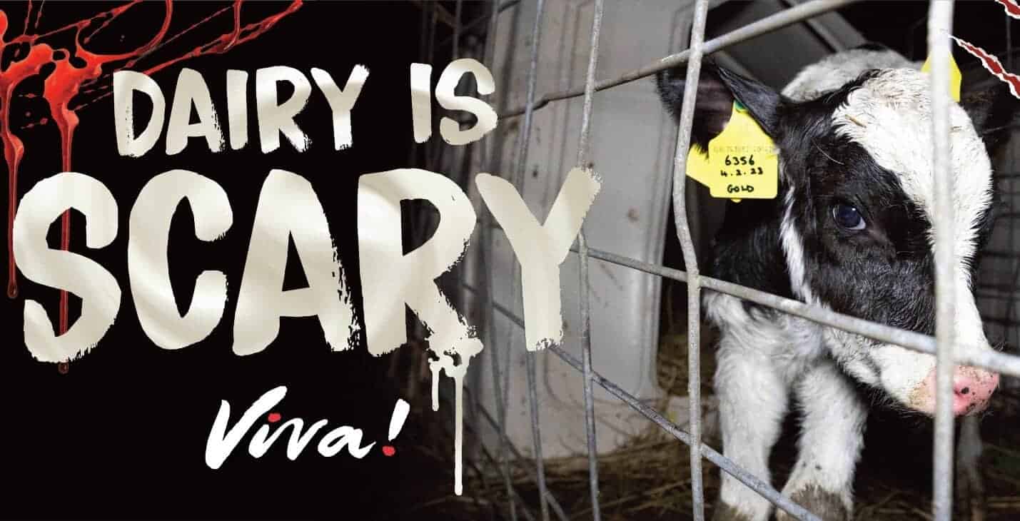 © viva! Dairy is scary