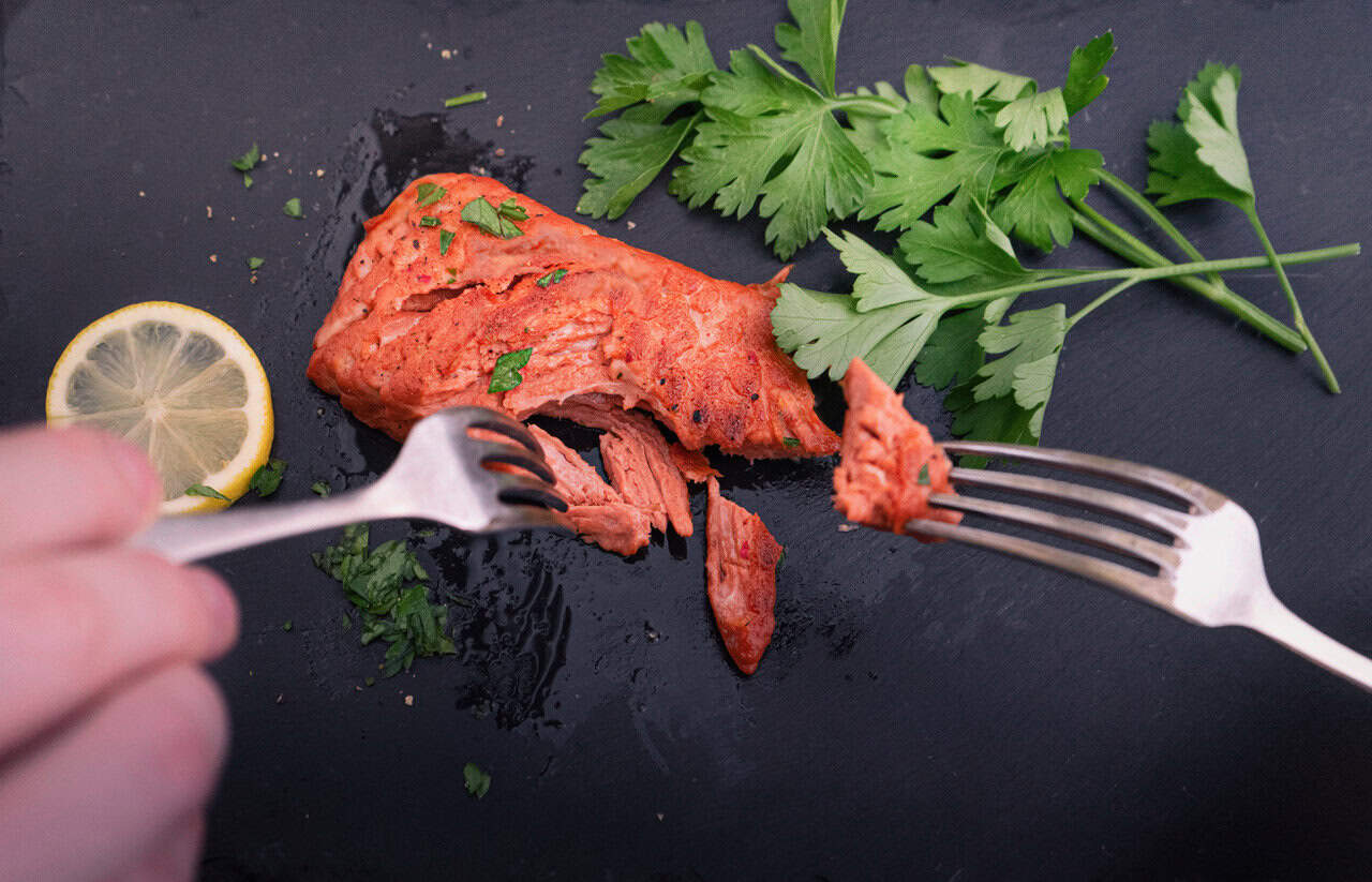© zyrcular foods s. L. Revo foods fischalternativen