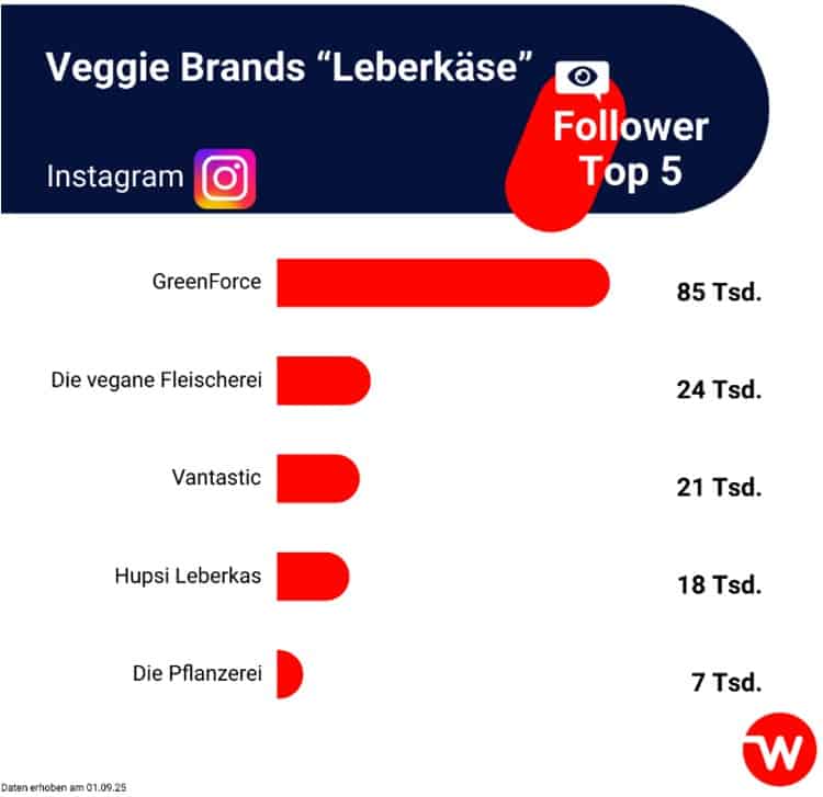 © web-netz GmbH