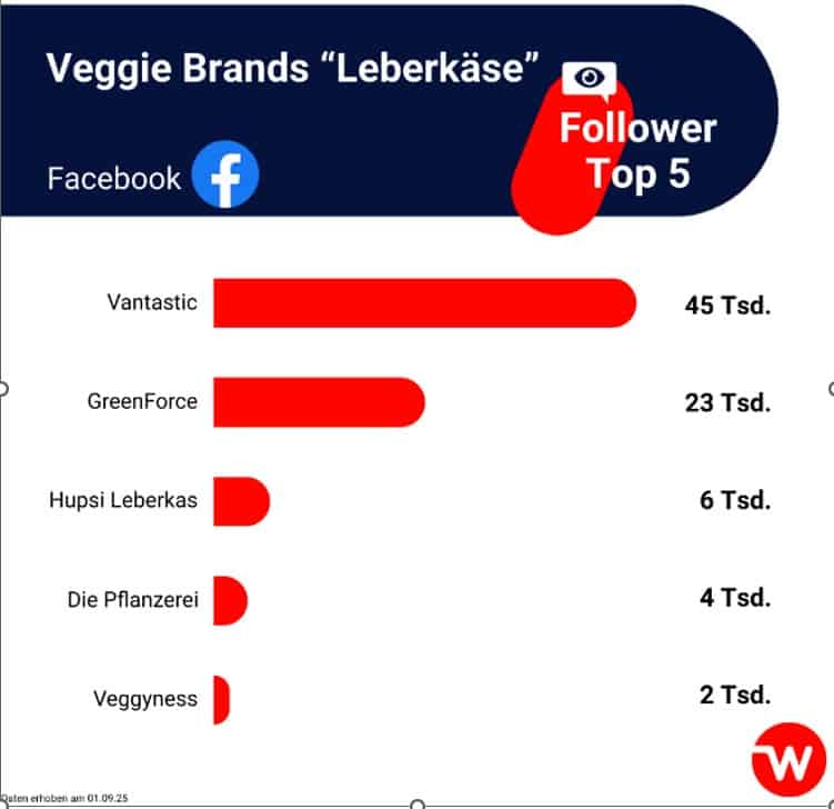 © web-netz GmbH