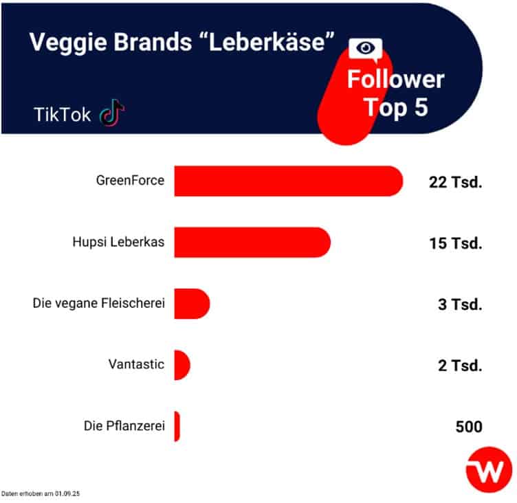 © web-netz GmbH