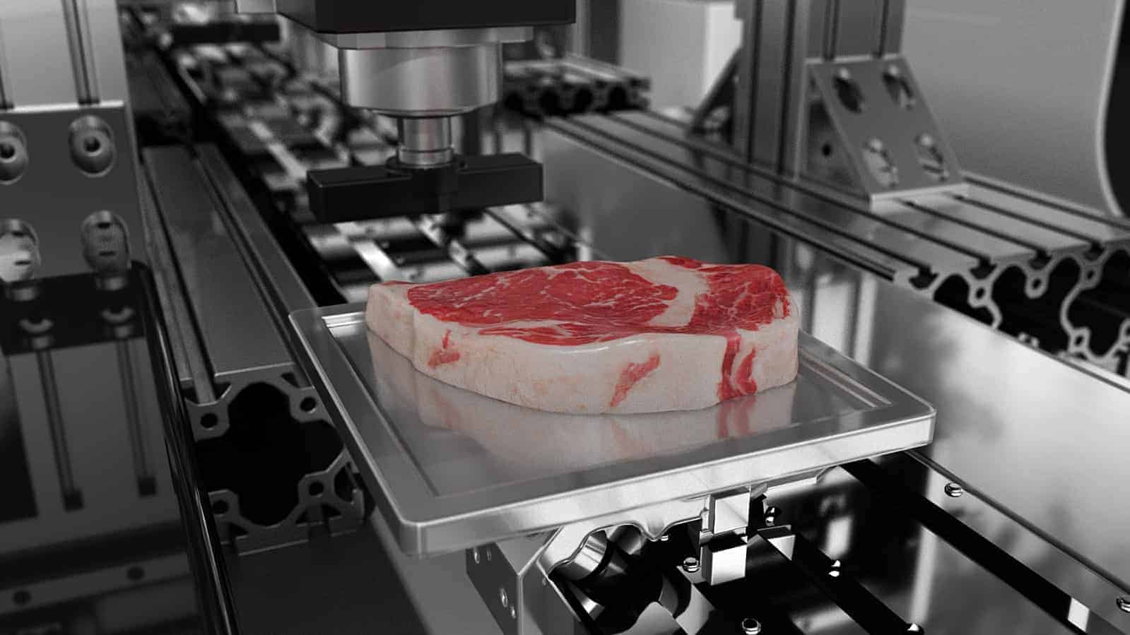 © steakholder foods