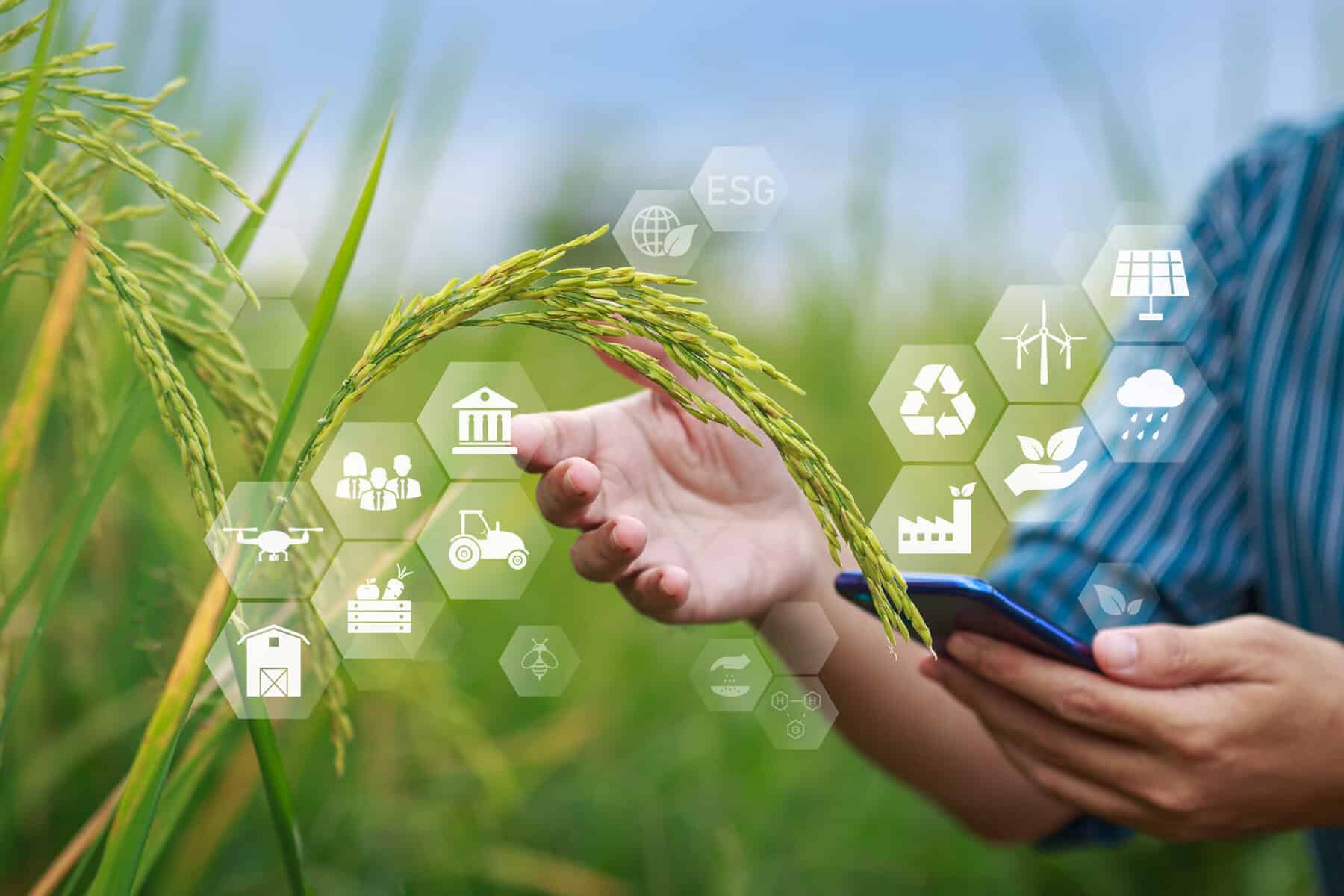 Landwirtschaft bauernhof