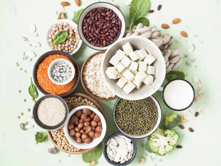 Pflanzliche vegane proteine hülsenfrüchte leguminosen