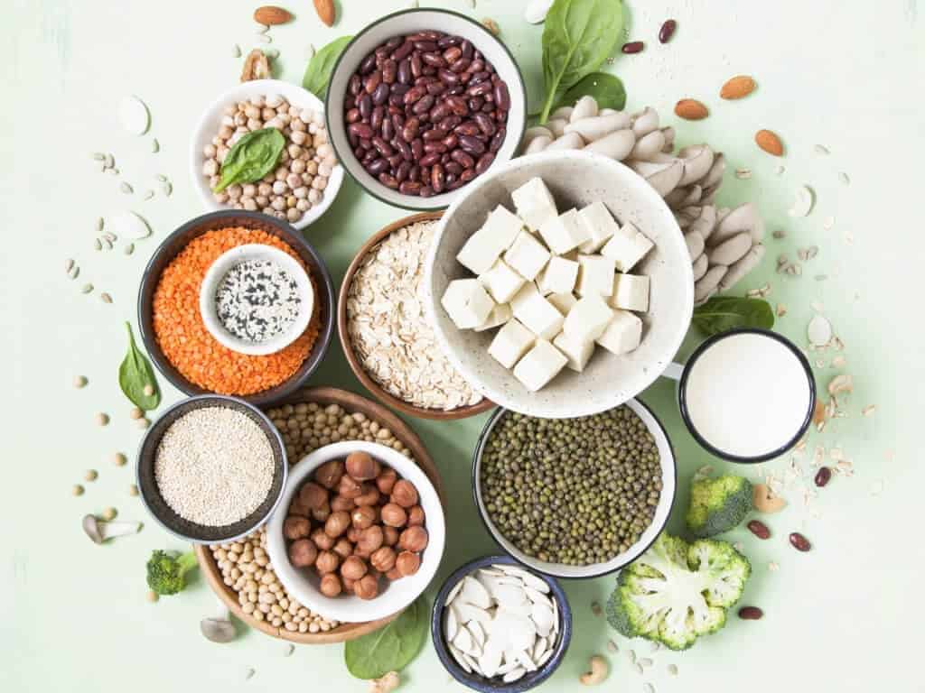 Pflanzliche vegane proteine hülsenfrüchte leguminosen