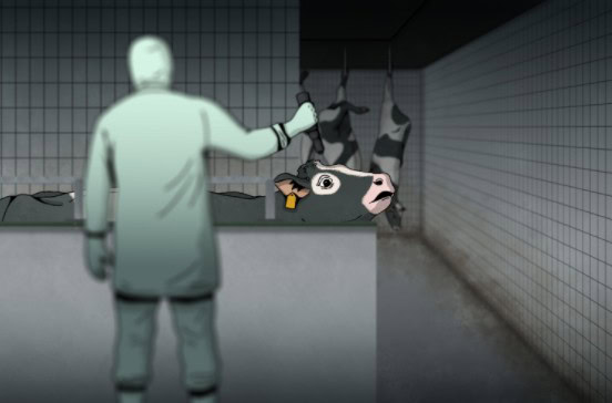 image004 deutscher tierschutzbund