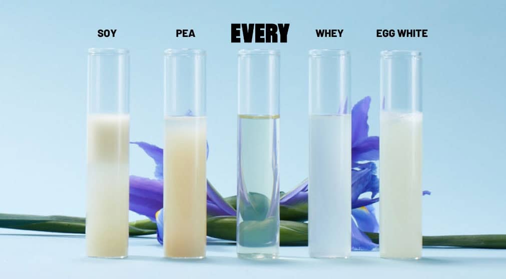 © The EVERY Company