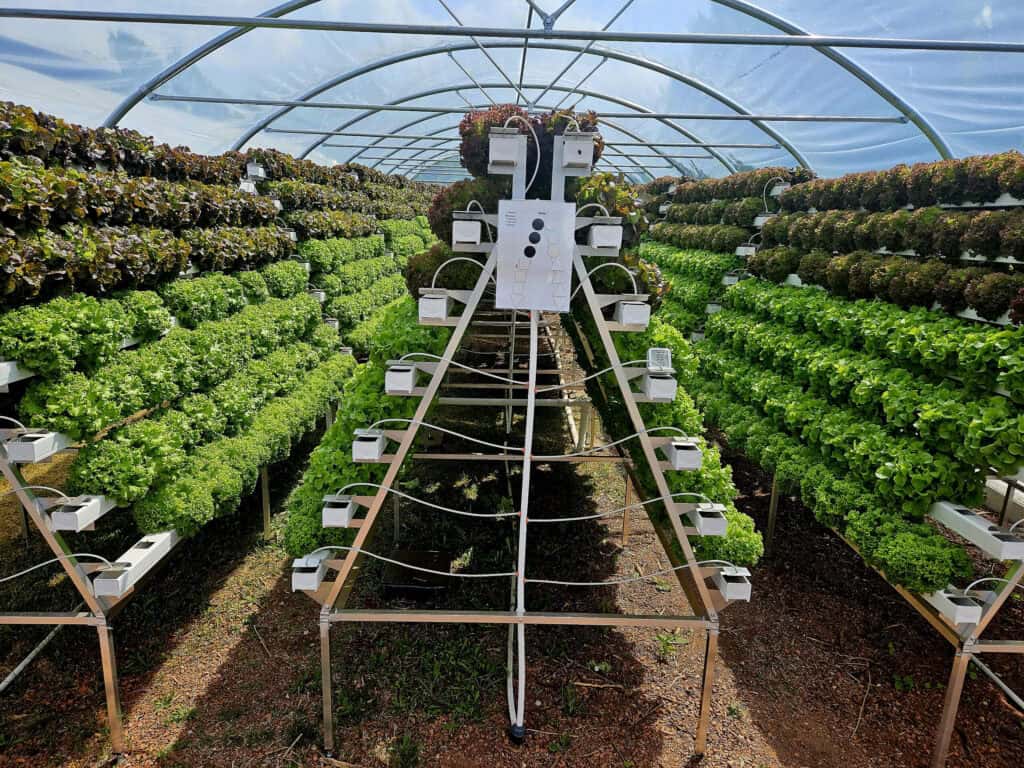 © pflanzentheke gmbh