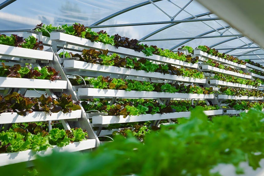 © pflanzentheke gmbh