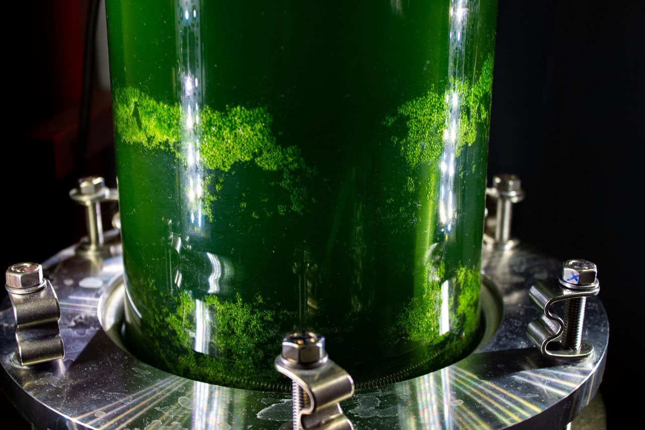 © adalbert-raps-stiftung