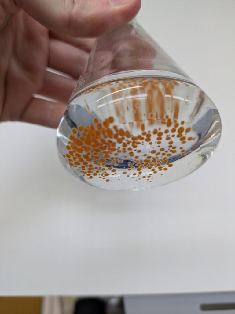 © adalbert-raps-stiftung